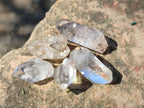 Natural Smokey Quartz Crystals x 47 From Brandberg, Namibia - Toprock Gemstones and Minerals 