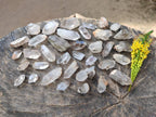 Natural Smokey Quartz Crystals x 47 From Brandberg, Namibia - Toprock Gemstones and Minerals 