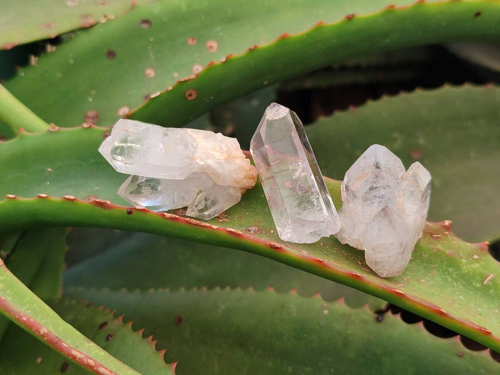 Natural Smokey Quartz Crystals x 47 From Brandberg, Namibia - Toprock Gemstones and Minerals 
