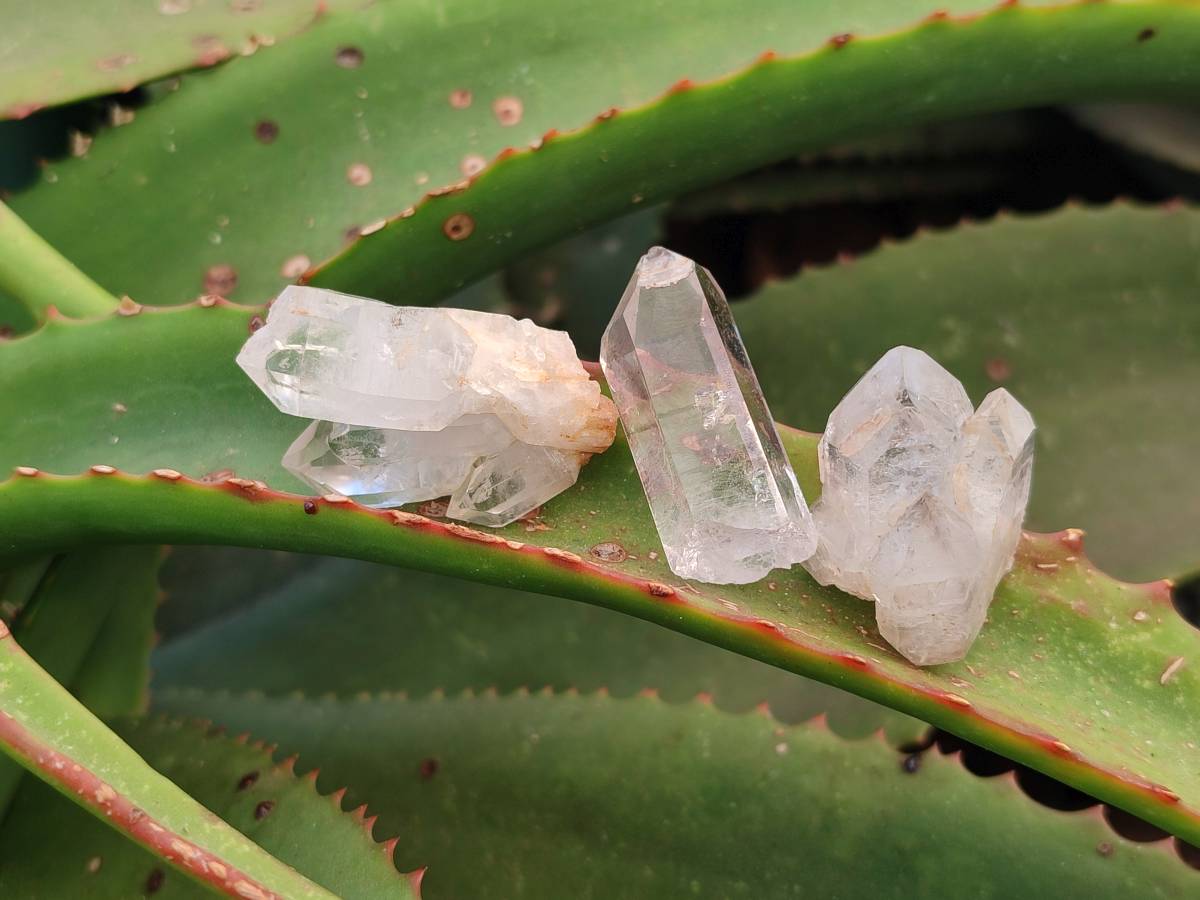 Natural Smokey Quartz Crystals x 47 From Brandberg, Namibia - Toprock Gemstones and Minerals 