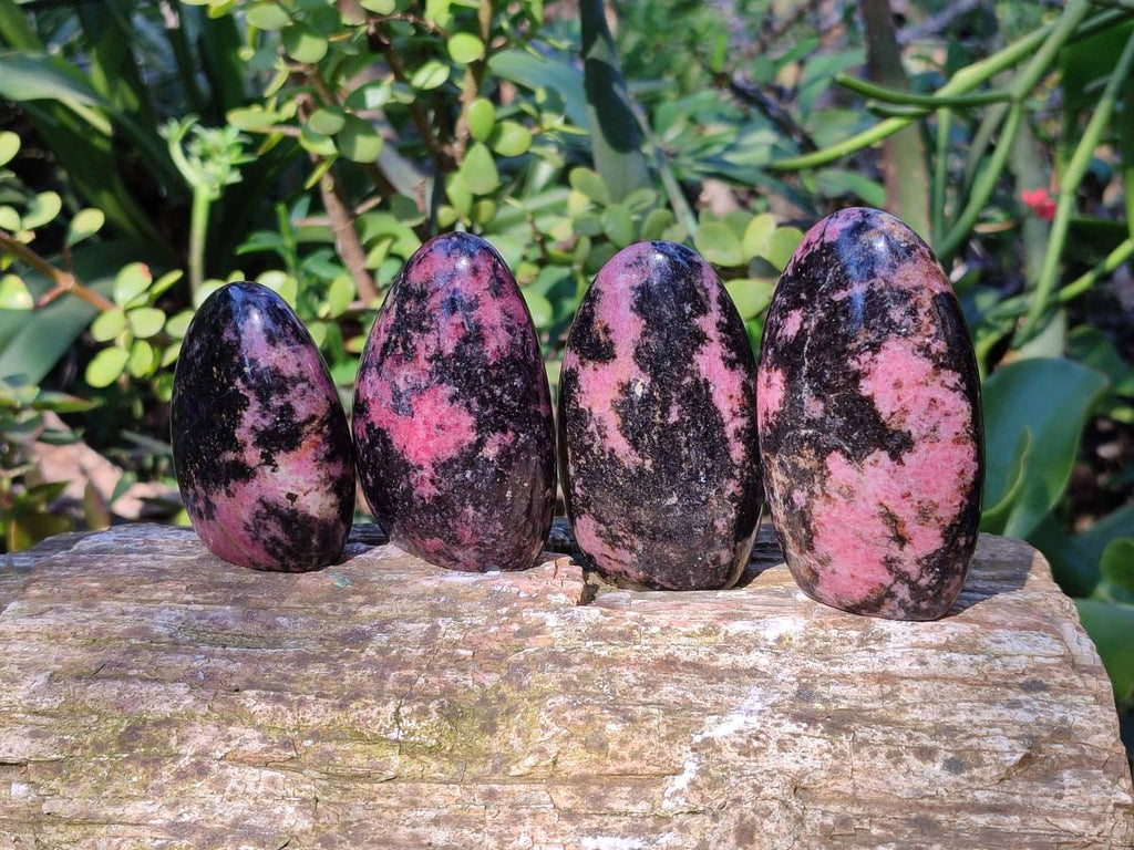 Polished Rhodonite Standing Free Forms x 6 From Madagascar - Toprock Gemstones and Minerals 