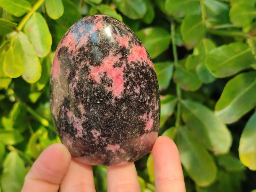 Polished Rhodonite Standing Free Forms x 6 From Madagascar - Toprock Gemstones and Minerals 