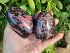 Polished Rhodonite Standing Free Forms x 6 From Madagascar - Toprock Gemstones and Minerals 