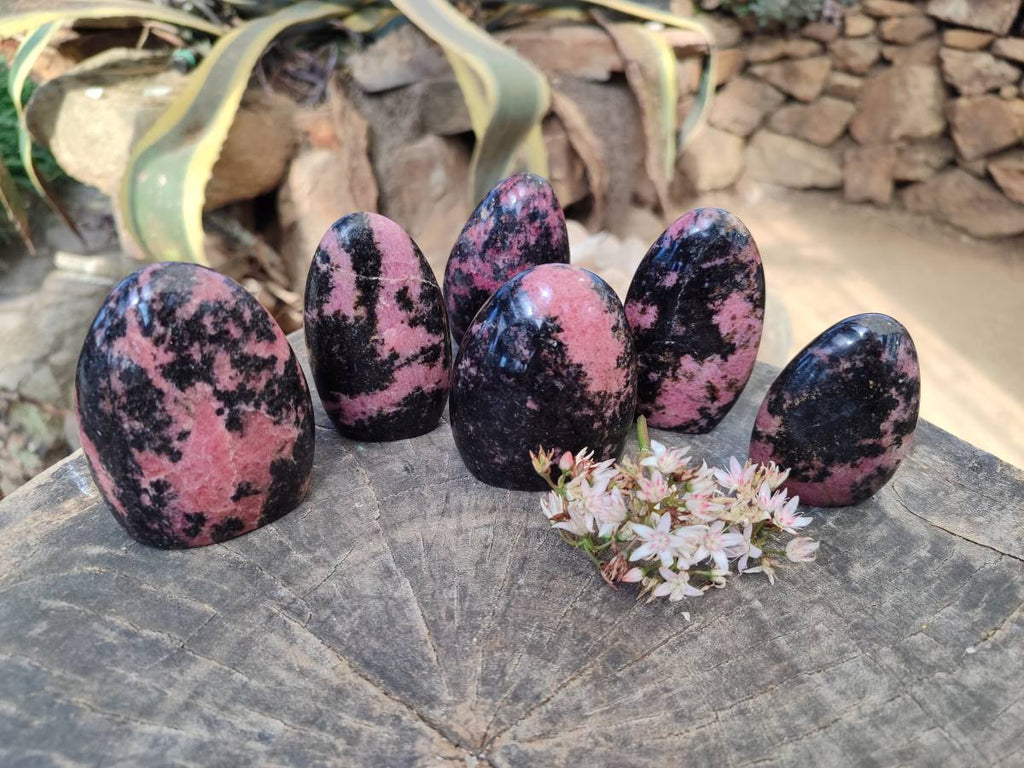 Polished Rhodonite Standing Free Forms x 6 From Madagascar - Toprock Gemstones and Minerals 