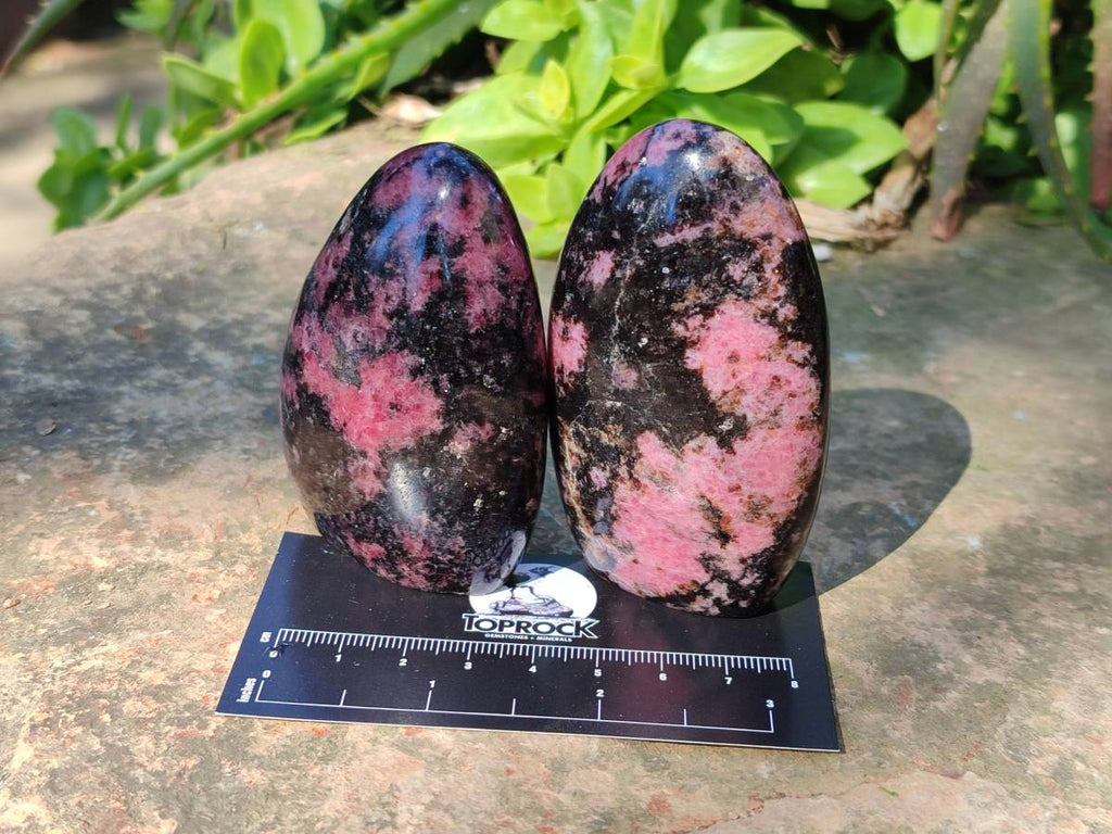 Polished Rhodonite Standing Free Forms x 6 From Madagascar - Toprock Gemstones and Minerals 