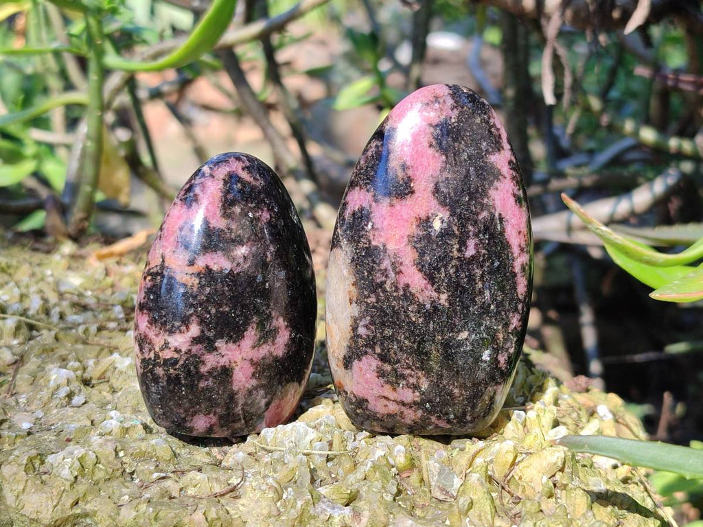 Polished Rhodonite Standing Free Forms x 6 From Madagascar - Toprock Gemstones and Minerals 