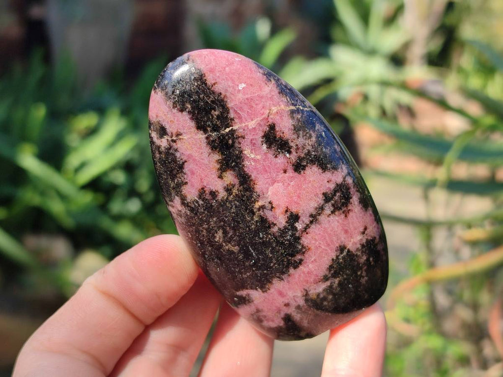 Polished Rhodonite Standing Free Forms x 6 From Madagascar - Toprock Gemstones and Minerals 
