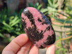 Polished Rhodonite Standing Free Forms x 6 From Madagascar - Toprock Gemstones and Minerals 
