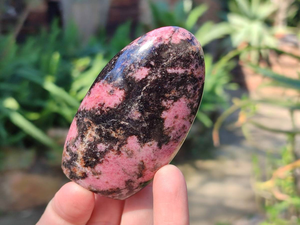 Polished Rhodonite Standing Free Forms x 6 From Madagascar - Toprock Gemstones and Minerals 