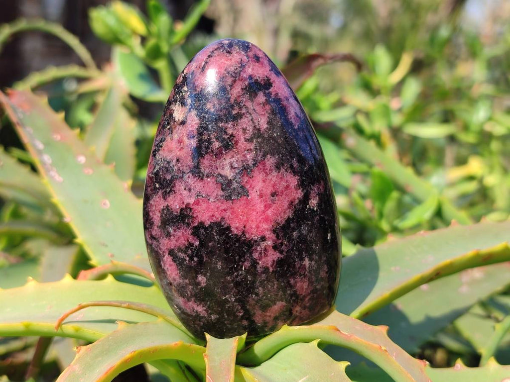 Polished Rhodonite Standing Free Forms x 6 From Madagascar - Toprock Gemstones and Minerals 