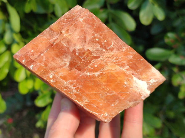 Natural Sunset Orange Calcite Specimens x 4 From Spitzkop, Namibia