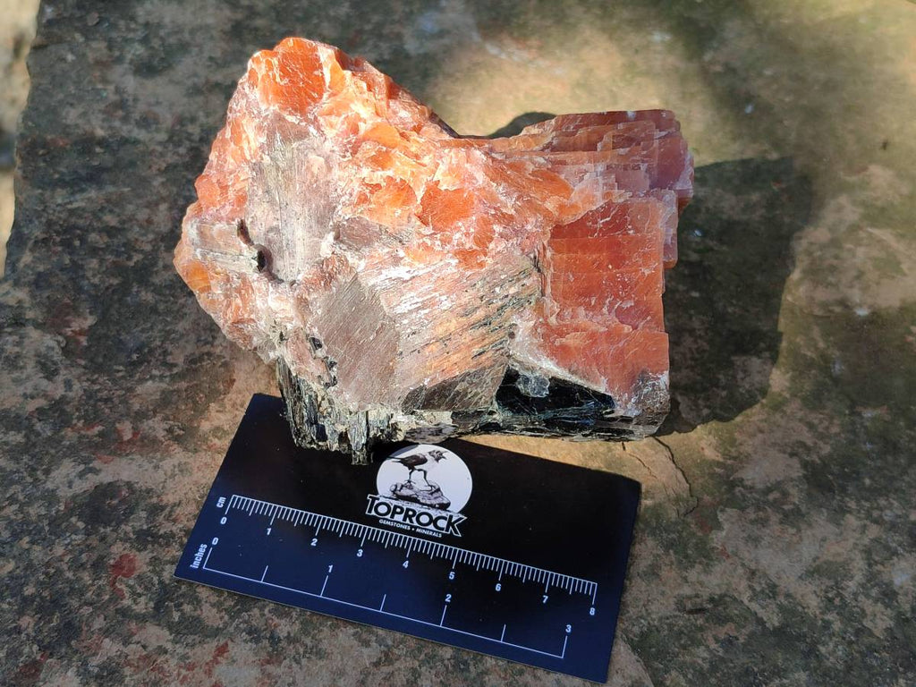 Natural Sunset Orange Calcite Specimens x 4 From Spitzkop, Namibia - Toprock Gemstones and Minerals 
