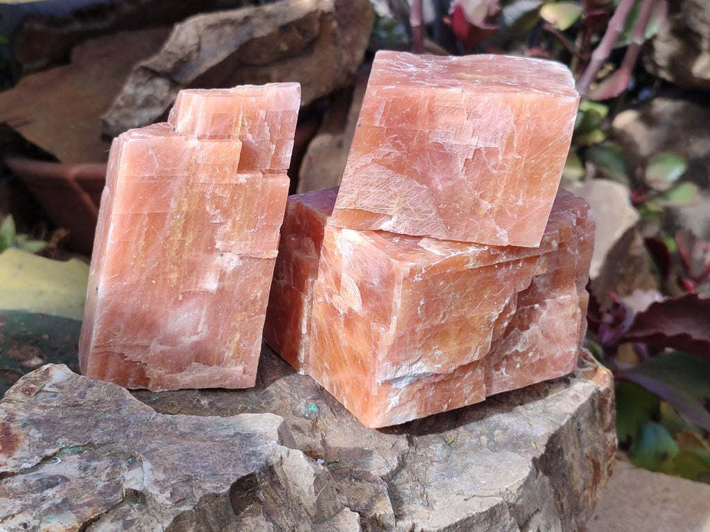 Natural Sunset Orange Calcite Specimens x 4 From Spitzkop, Namibia - Toprock Gemstones and Minerals 