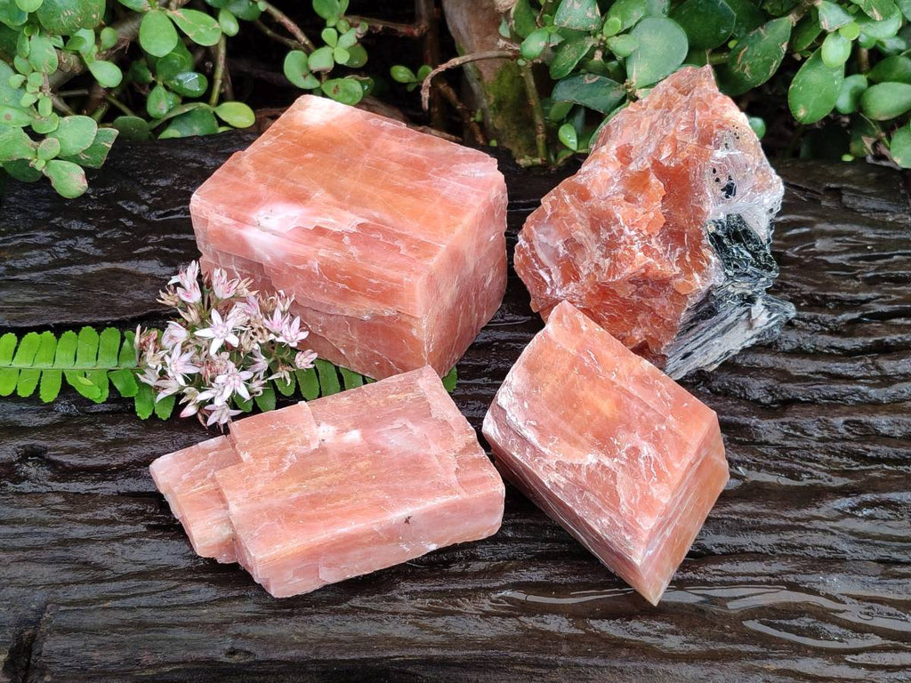 Natural Sunset Orange Calcite Specimens x 4 From Spitzkop, Namibia - Toprock Gemstones and Minerals 