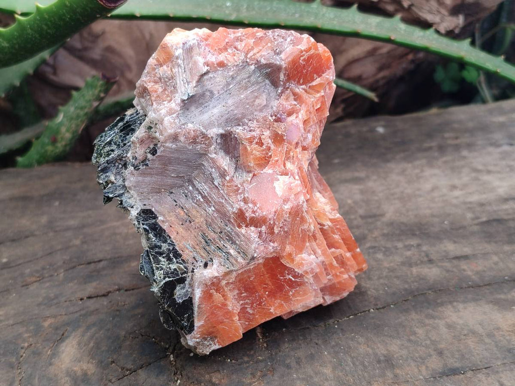 Natural Sunset Orange Calcite Specimens x 4 From Spitzkop, Namibia - Toprock Gemstones and Minerals 