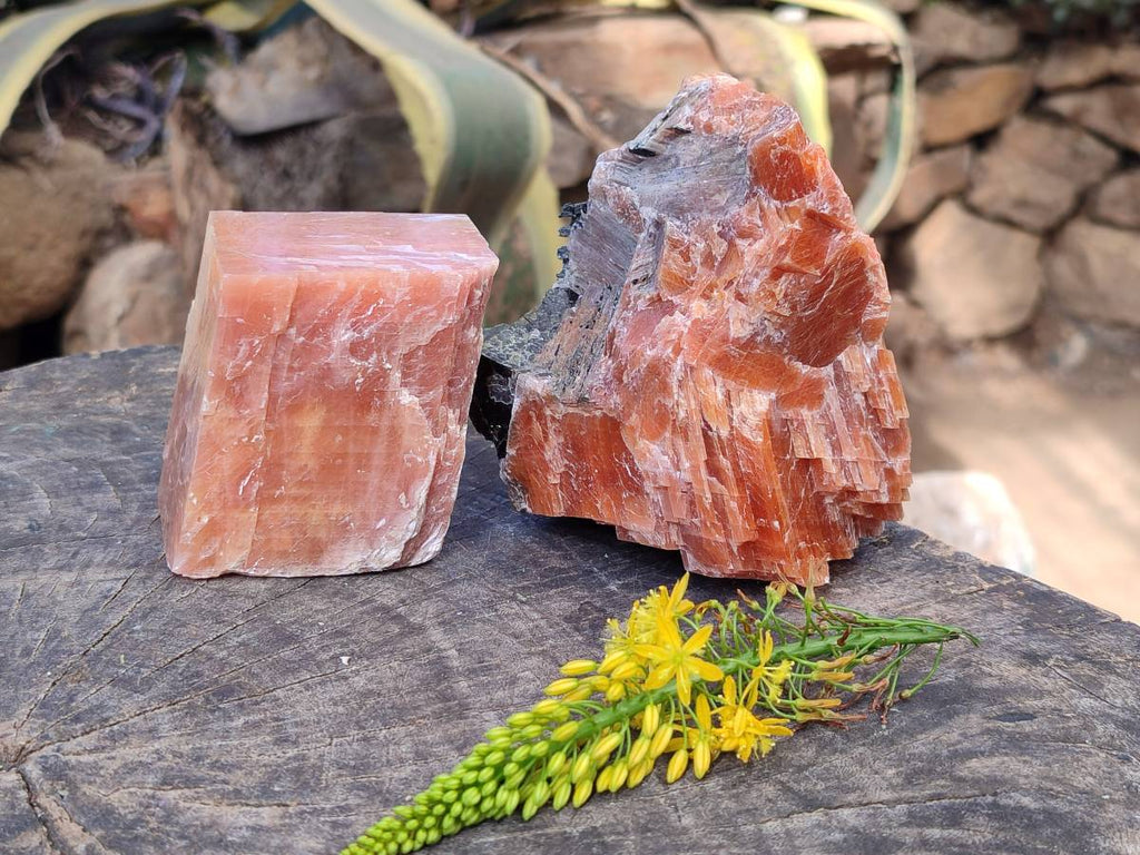 Natural Sunset Orange Calcite Specimens x 4 From Spitzkop, Namibia - Toprock Gemstones and Minerals 