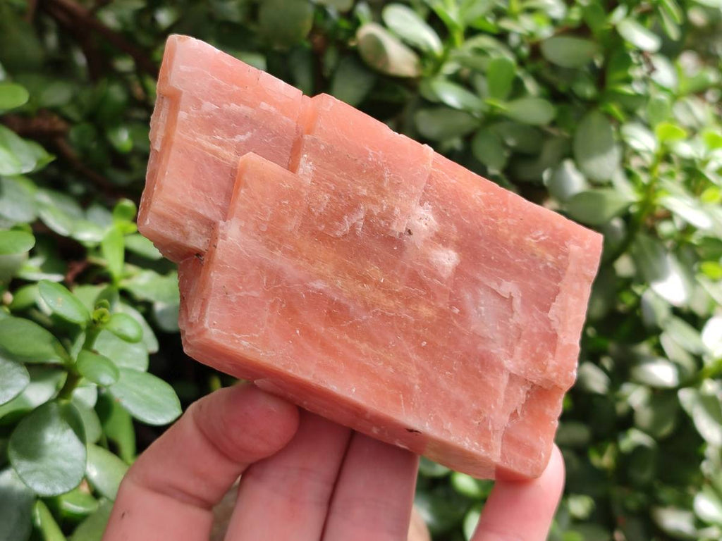 Natural Sunset Orange Calcite Specimens x 4 From Spitzkop, Namibia - Toprock Gemstones and Minerals 
