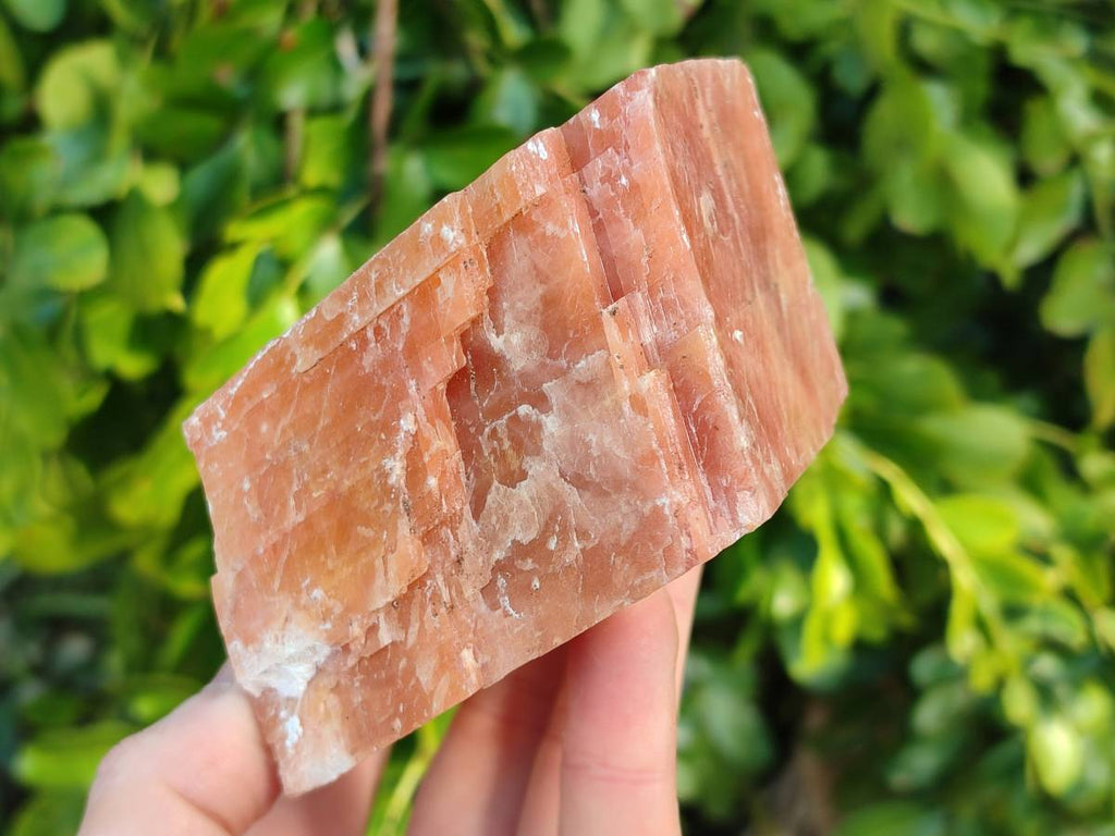 Natural Sunset Orange Calcite Specimens x 4 From Spitzkop, Namibia - Toprock Gemstones and Minerals 