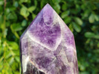 Polished Chevron Amethyst Points x 2 From Zambia - Toprock Gemstones and Minerals 