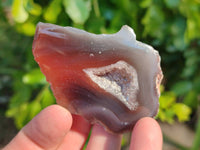 Polished On One Side Red Sashe River Agate Nodules x 24 From Zimbabwe