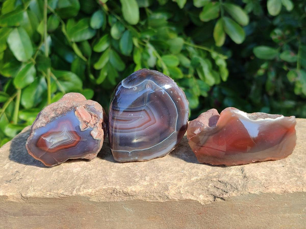 Polished On One Side Red Sashe River Agate Nodules x 24 From Zimbabwe - Toprock Gemstones and Minerals 