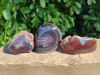 Polished On One Side Red Sashe River Agate Nodules x 24 From Zimbabwe - Toprock Gemstones and Minerals 