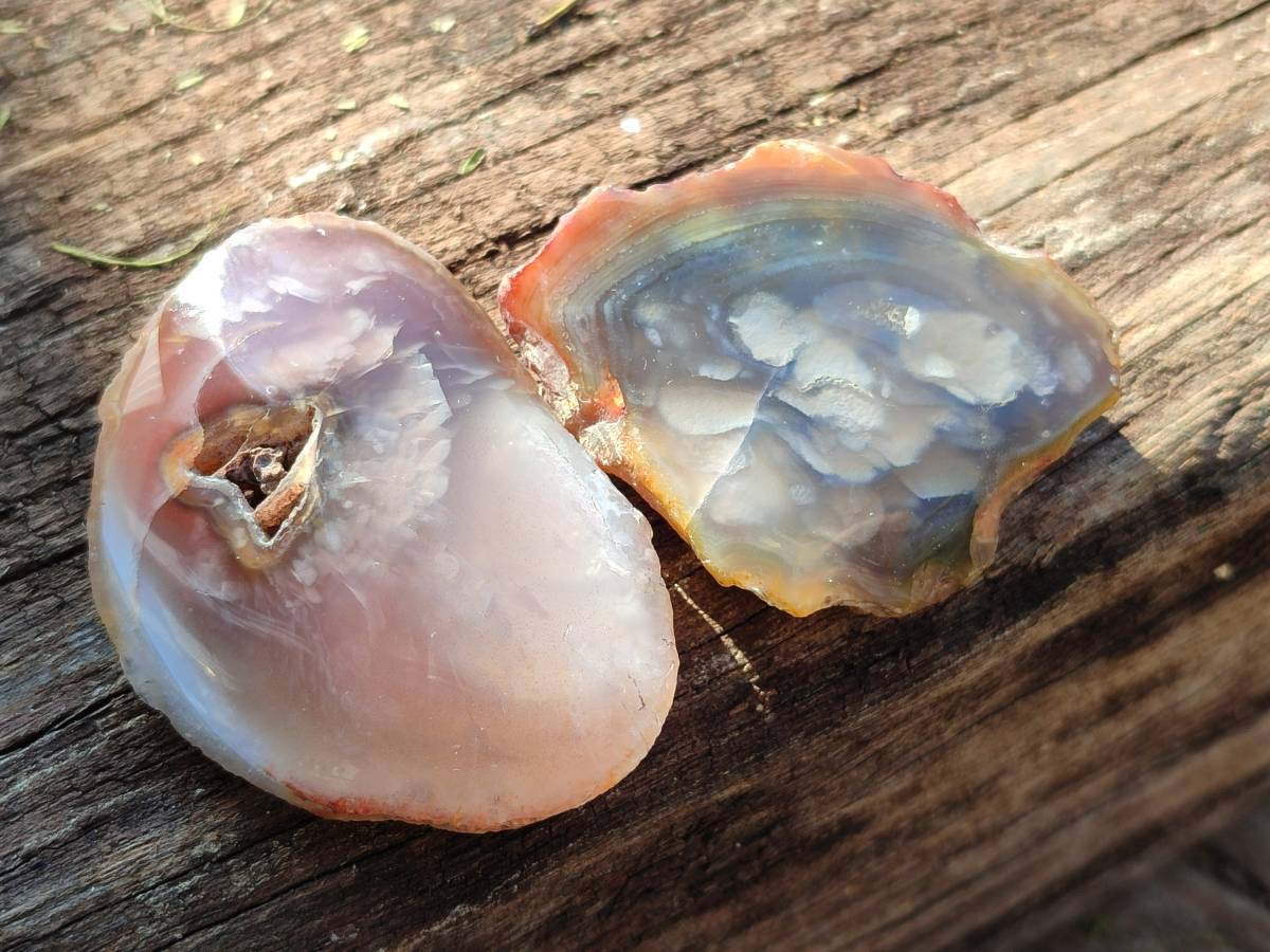 Polished On One Side Red Sashe River Agate Nodules x 24 From Zimbabwe - Toprock Gemstones and Minerals 
