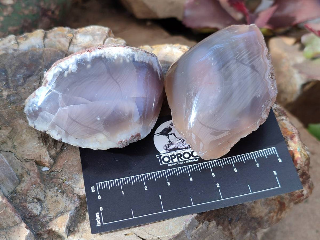 Polished On One Side Red Sashe River Agate Nodules x 24 From Zimbabwe - Toprock Gemstones and Minerals 