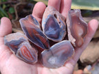 Polished On One Side Red Sashe River Agate Nodules x 24 From Zimbabwe - Toprock Gemstones and Minerals 