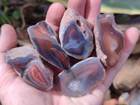 Polished On One Side Red Sashe River Agate Nodules x 24 From Zimbabwe