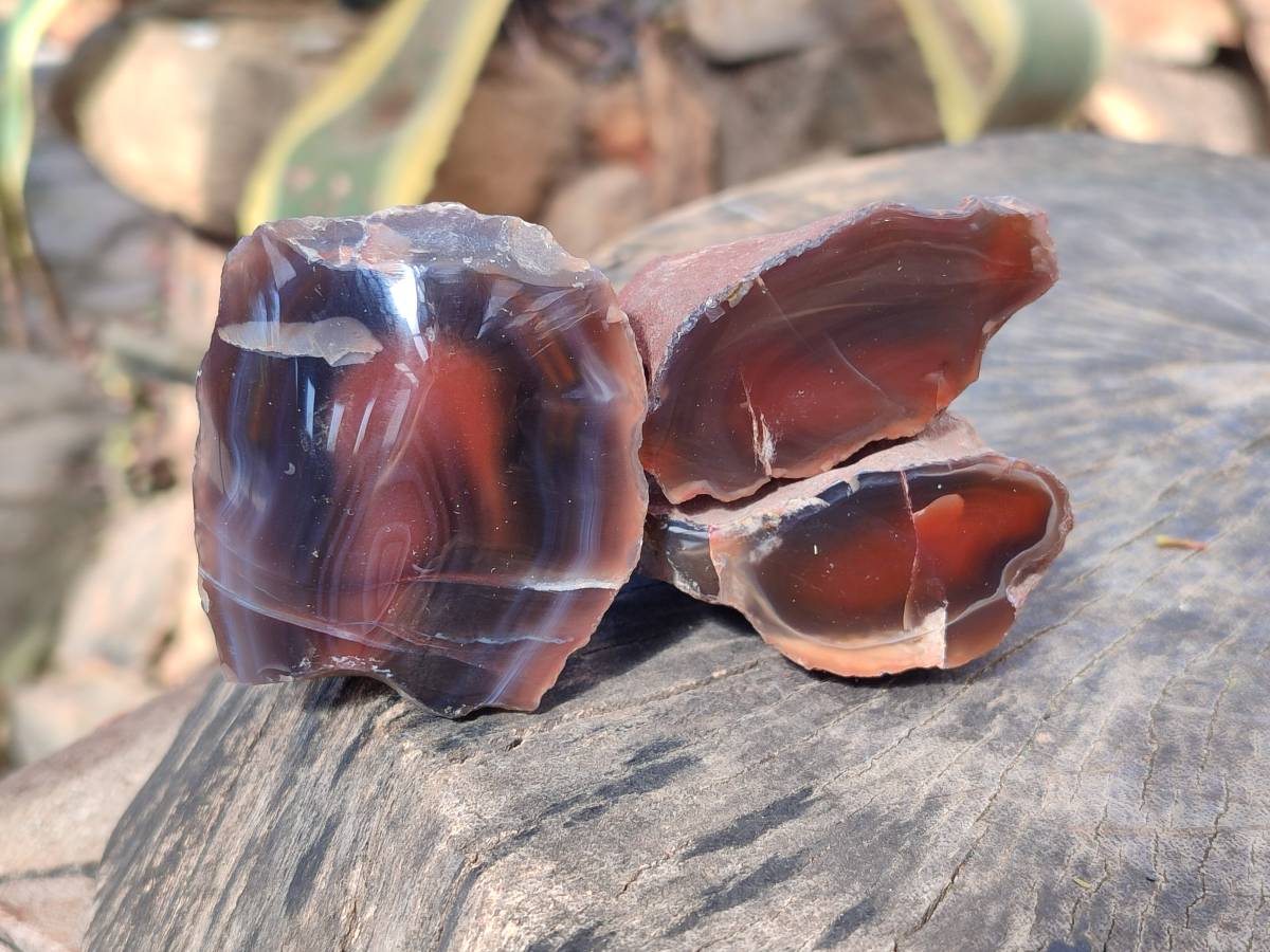 Polished On One Side Red Sashe River Agate Nodules x 24 From Zimbabwe - Toprock Gemstones and Minerals 