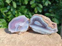 Polished On One Side Red Sashe River Agate Nodules x 24 From Zimbabwe