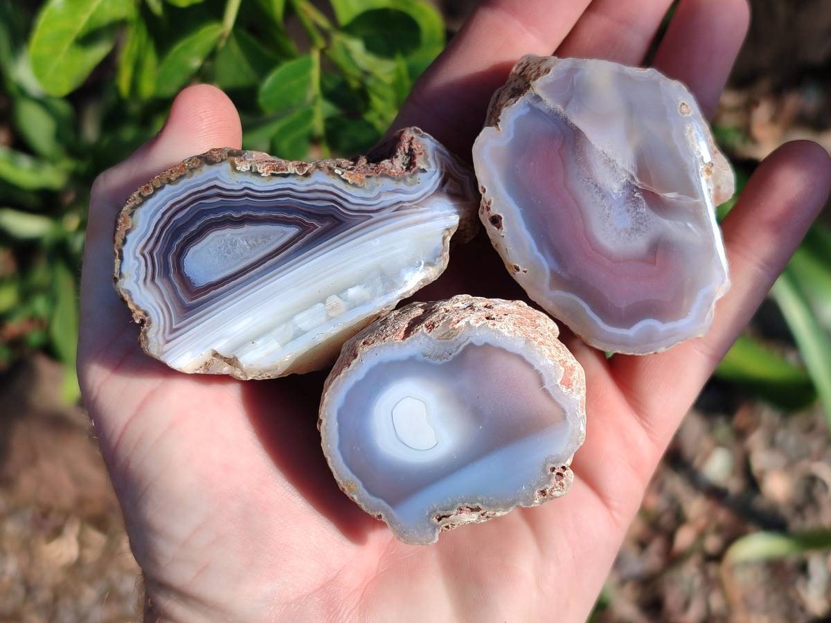 Polished On One Side Red Sashe River Agate Nodules x 24 From Zimbabwe - Toprock Gemstones and Minerals 