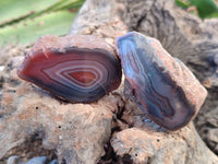 Polished On One Side Red Sashe River Agate Nodules x 24 From Zimbabwe
