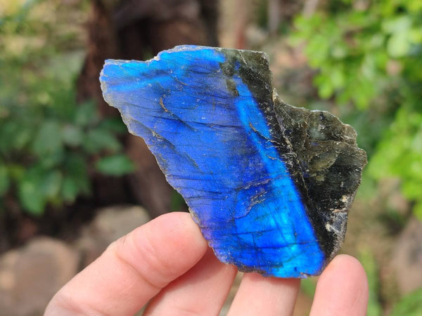 Polished On One Side Labradorite x 14 From Madagascar