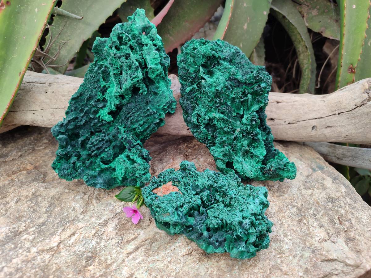 Natural Silky Malachite Specimens x 3 From Kasompe, Congo - Toprock Gemstones and Minerals 