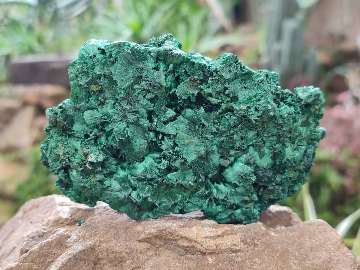 Natural Silky Malachite Specimens x 3 From Kasompe, Congo - Toprock Gemstones and Minerals 