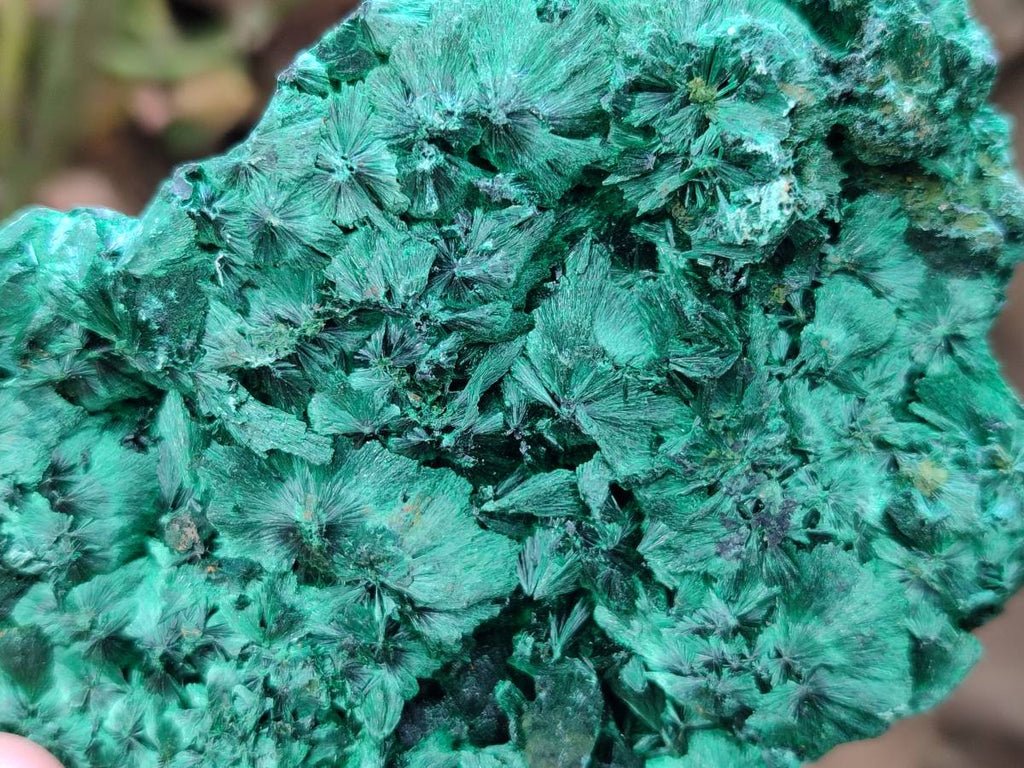 Natural Silky Malachite Specimens x 3 From Kasompe, Congo - Toprock Gemstones and Minerals 