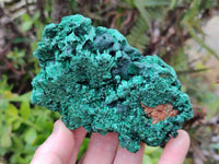 Natural Silky Malachite Specimens x 3 From Kasompe, Congo