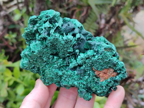 Natural Silky Malachite Specimens x 3 From Kasompe, Congo