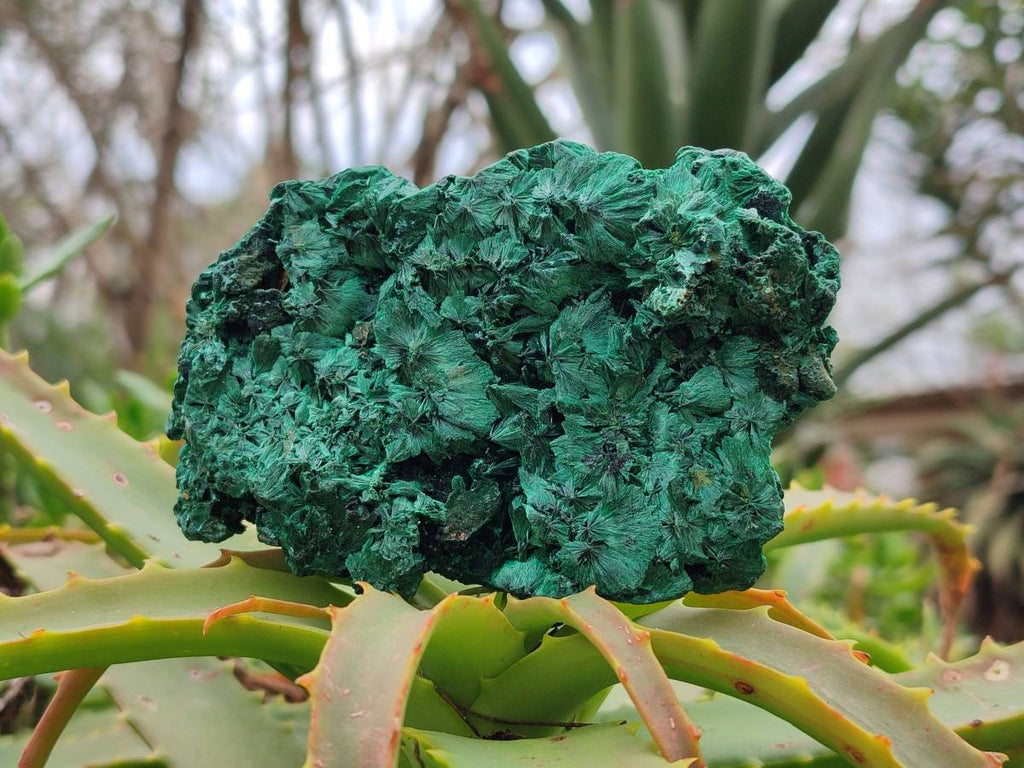 Natural Silky Malachite Specimens x 3 From Kasompe, Congo - Toprock Gemstones and Minerals 