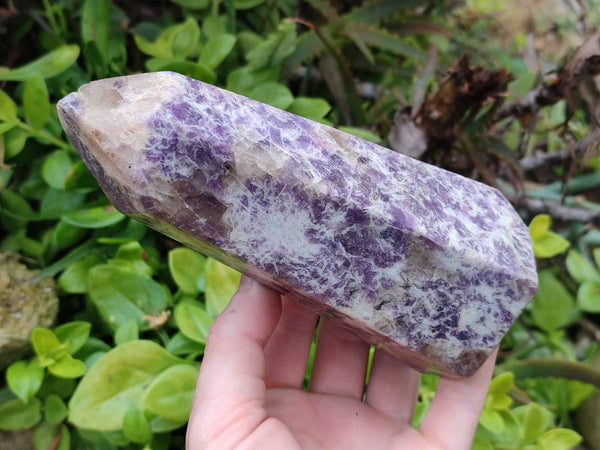 Polished Lepidolite with Pink Rubellite Points x 2 From Ambatondrazaka, Madagascar
