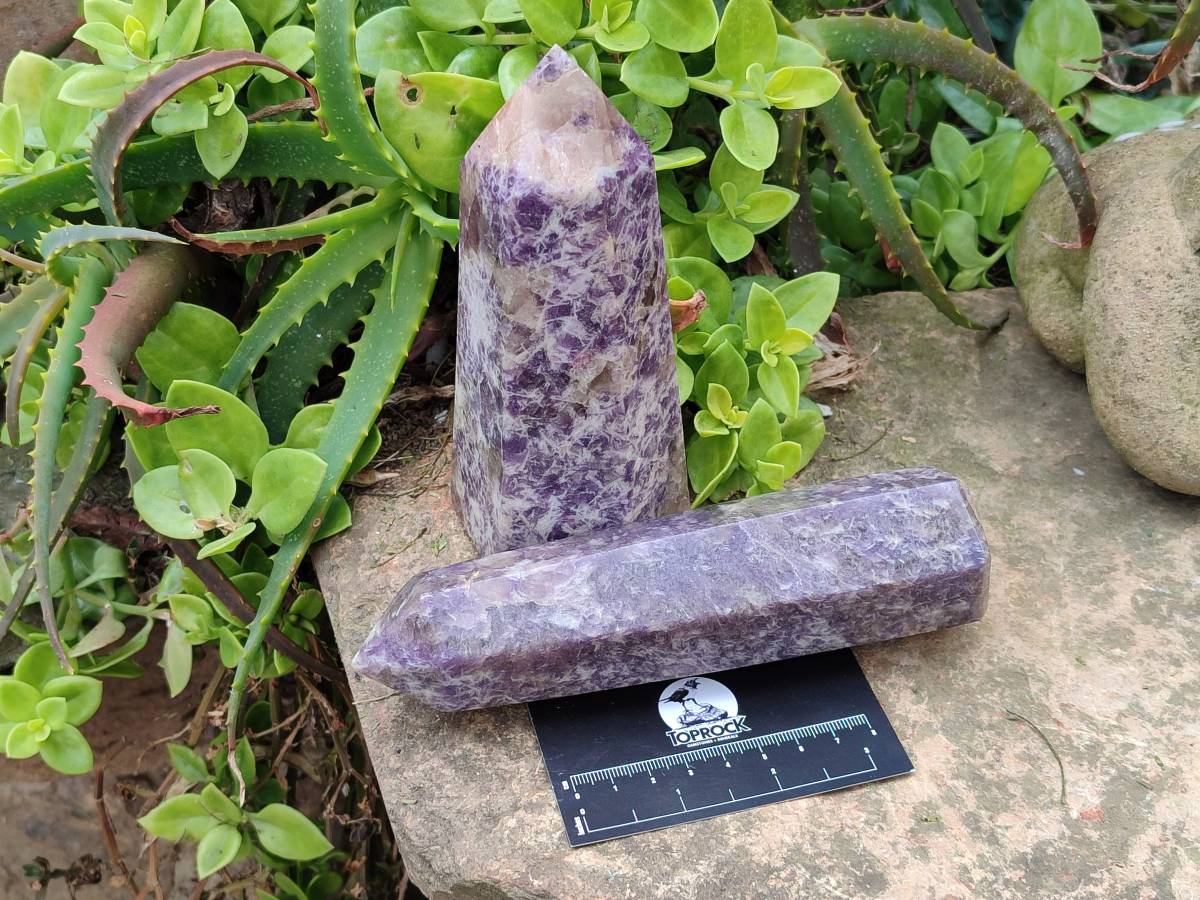 Polished Lepidolite with Pink Rubellite Points x 2 From Ambatondrazaka, Madagascar - Toprock Gemstones and Minerals 
