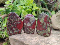 Polished Bastite Dragon Bloodstone Standing Free Forms x 3 From South Africa