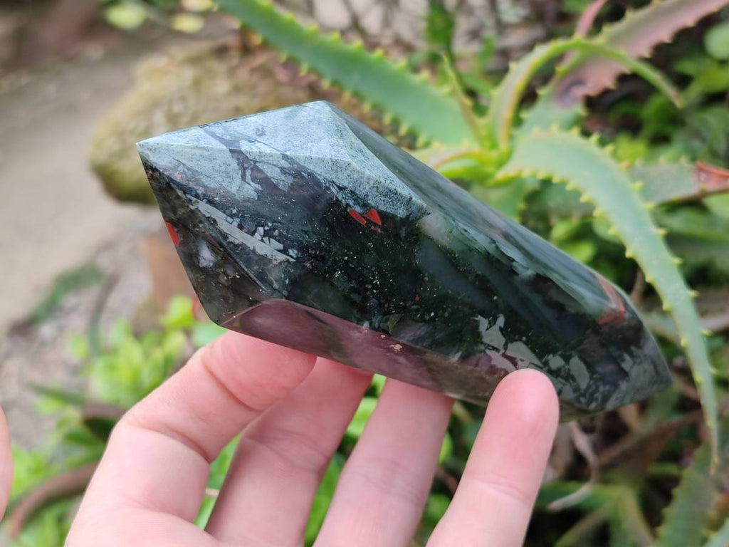 Polished Double Terminated Bloodstone Points x 6 From Swaziland - Toprock Gemstones and Minerals 