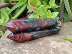 Polished Double Terminated Bloodstone Points x 6 From Swaziland - Toprock Gemstones and Minerals 