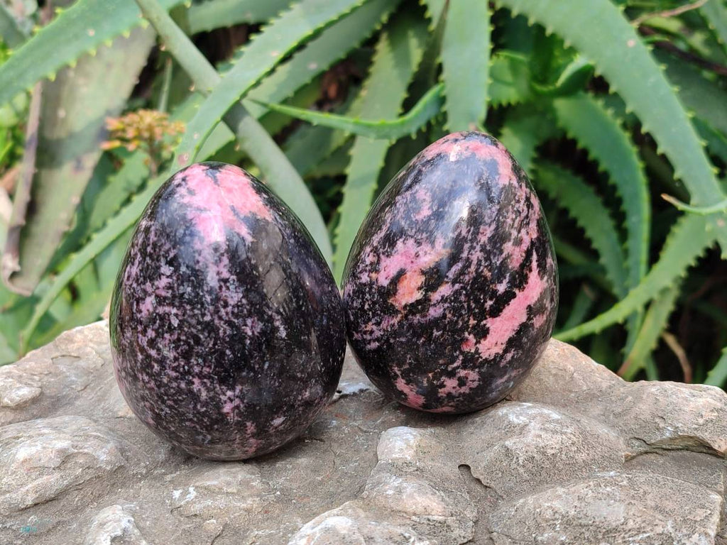 Polished Rhodonite Eggs x 3 From Madagascar - Toprock Gemstones and Minerals 