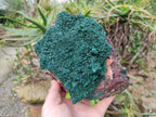 Natural Crystalline Malachite Specimens x 2 From Tenke Fungurume, Congo - Toprock Gemstones and Minerals 
