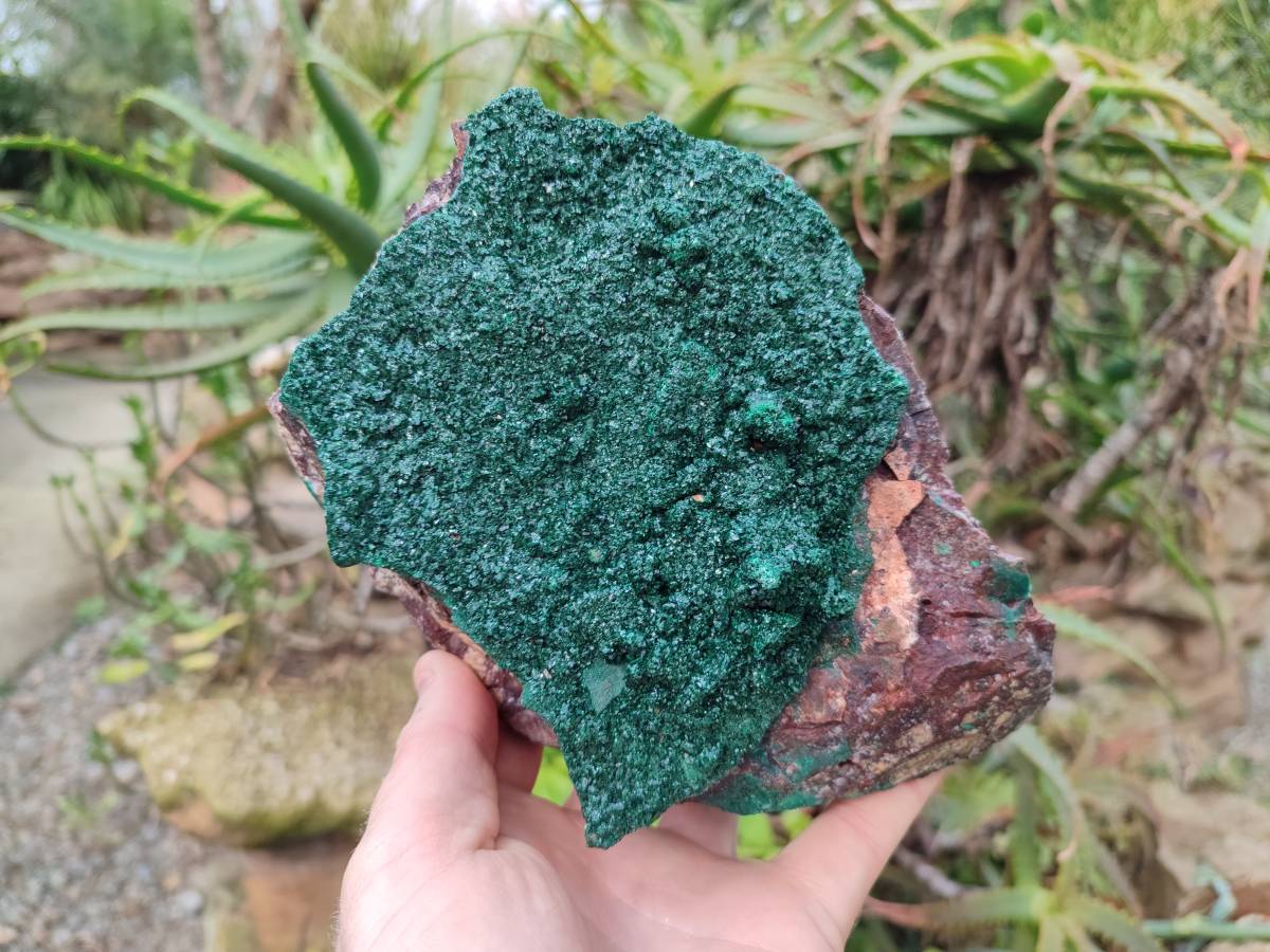 Natural Crystalline Malachite Specimens x 2 From Tenke Fungurume, Congo - Toprock Gemstones and Minerals 