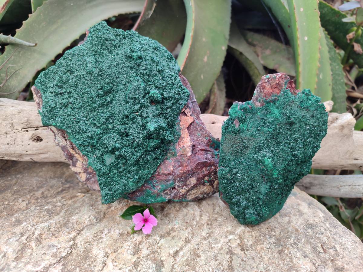 Natural Crystalline Malachite Specimens x 2 From Tenke Fungurume, Congo - Toprock Gemstones and Minerals 